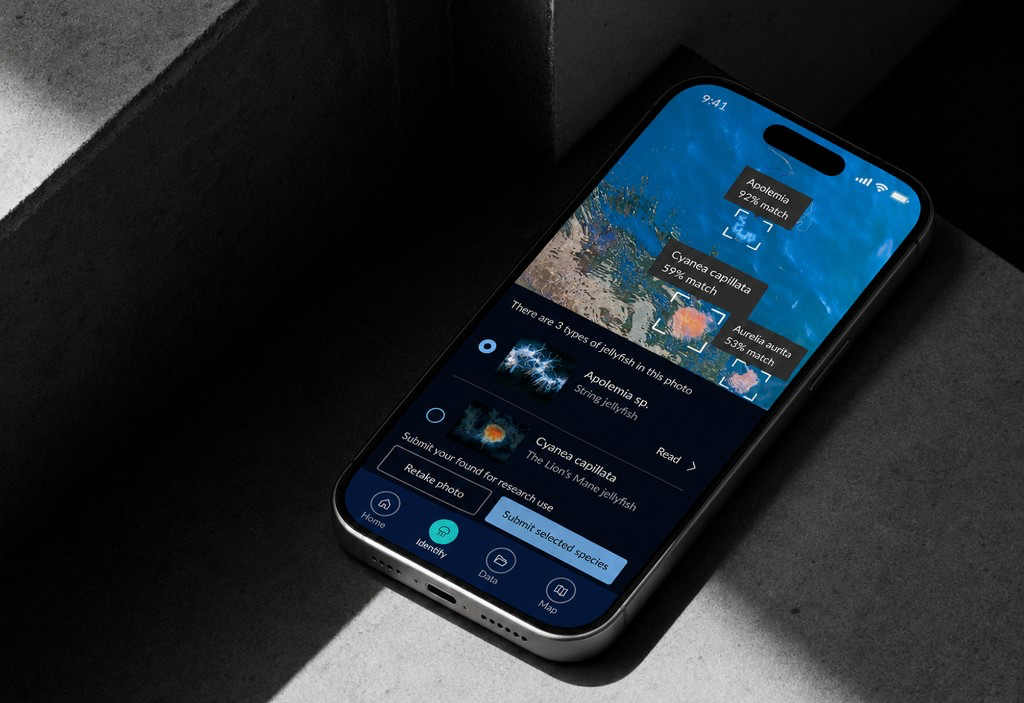 PlanktonStatus identifiser-flyt — AI artsgjenkjenning på telefonmockup