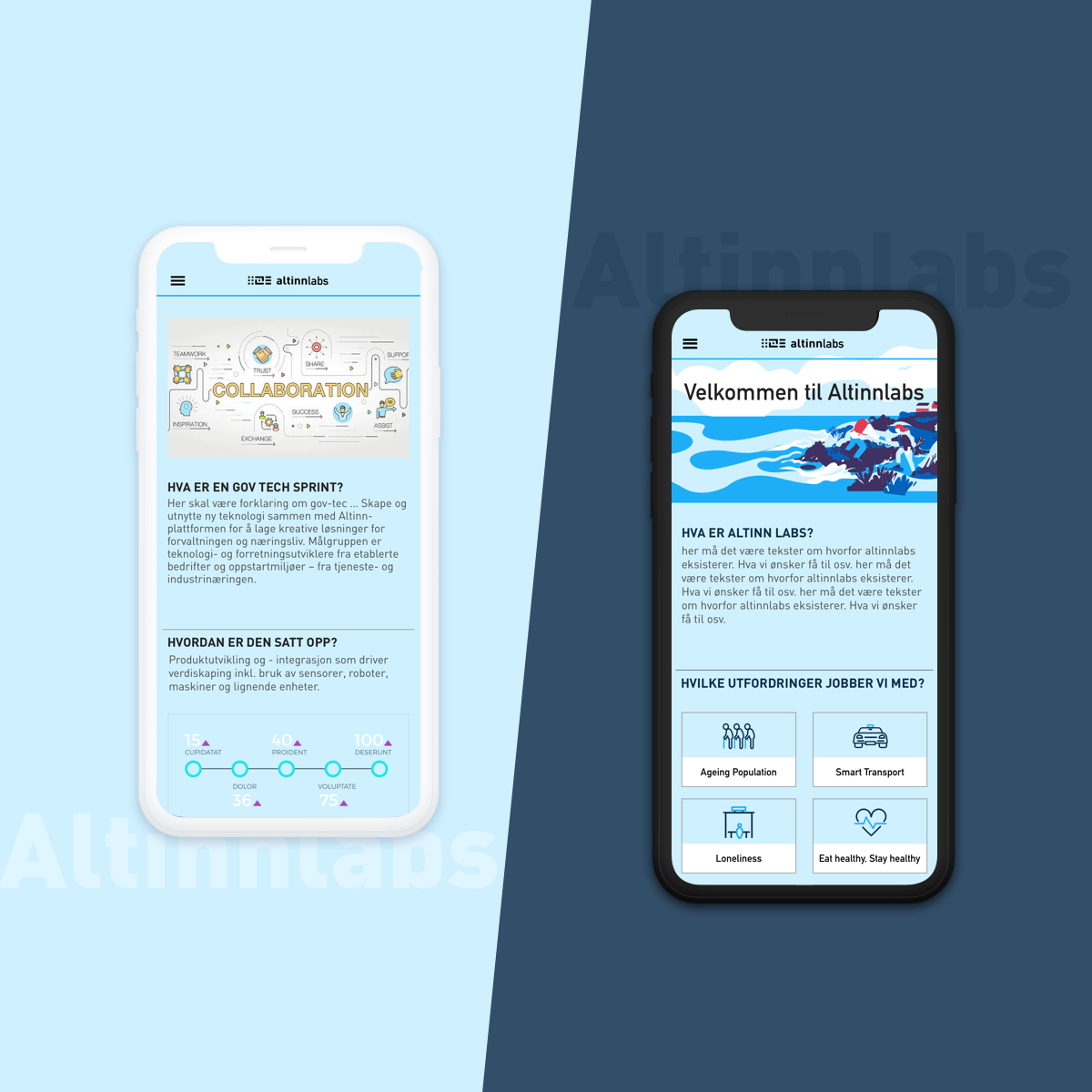 Altinn Labs