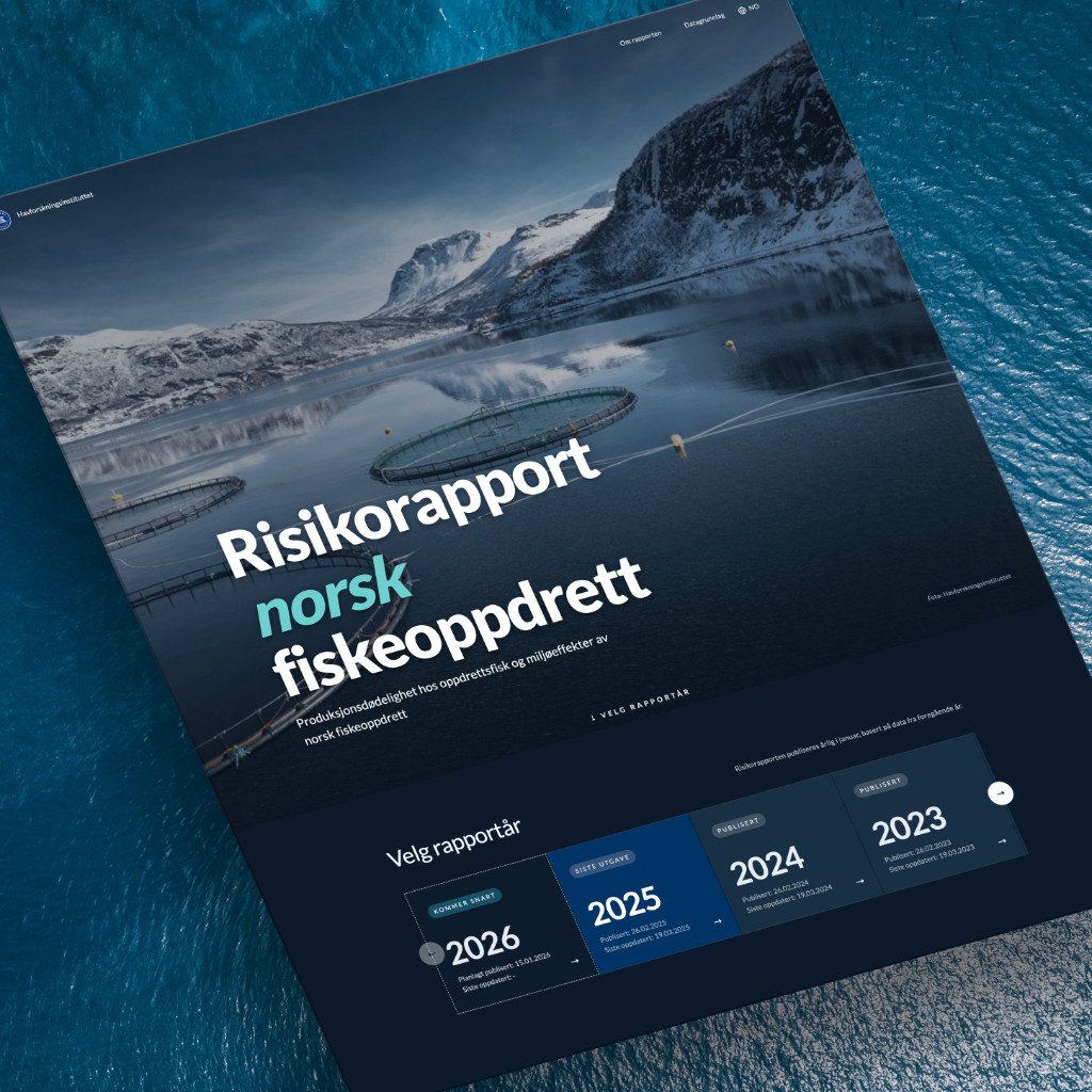 Risikorapport